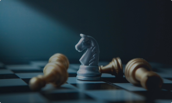Risk and capital oversight