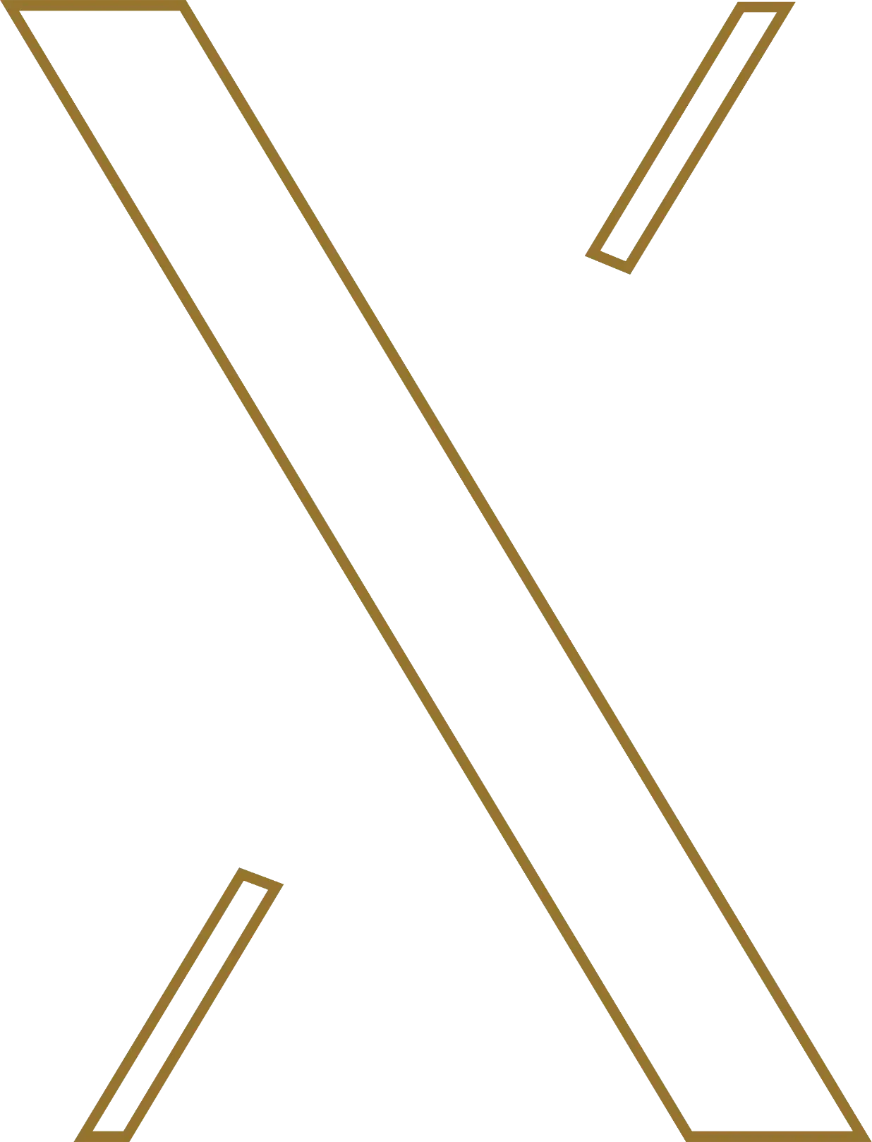 X icon